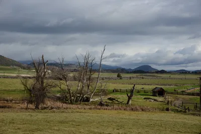 DSC_1009 (Large).JPG